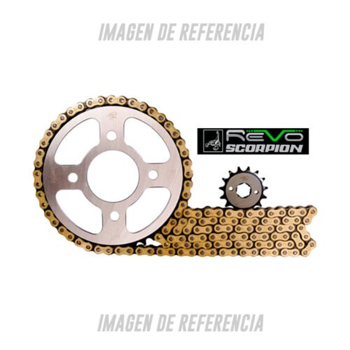 Kit De Arrastre Revo Pulsar 200ns(428ho-132-16x46) Cadena Dorada